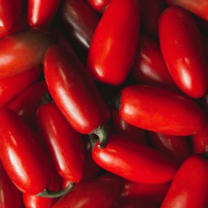 Pizza Zutaten: San Marzano Tomatensauce